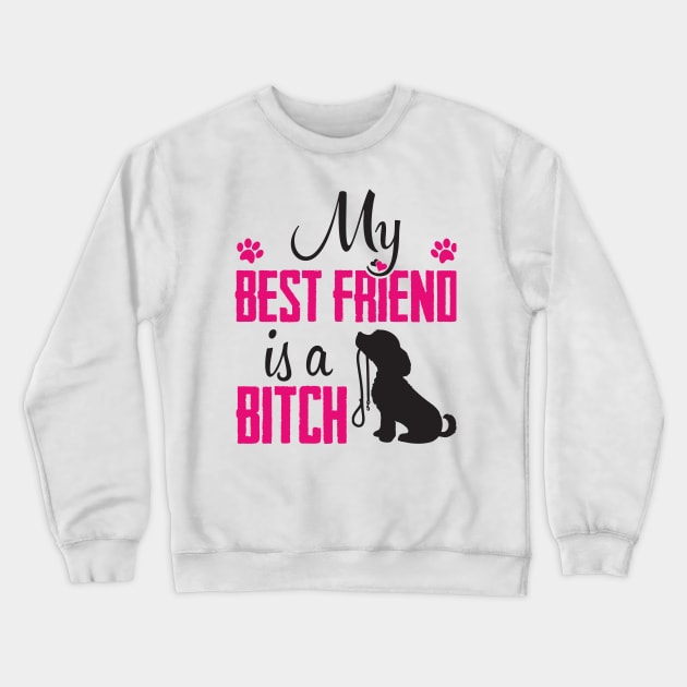 My best friend is a bitch Crewneck Sweatshirt by nektarinchen